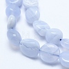 Natural Blue Lace Agate Beads Strands G-E483-62B-3