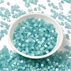Glass Seed Beads X1-SEED-H002-D-A812-2