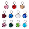 10Pcs Glass Rhinestone Charms STAS-TA0003-26A-2