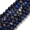 Natural South Africa Sodalite Beads Strands G-S259-35-6mm-2