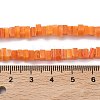 Handmade Lampwork Beads Strands LAMP-Q037-02A-10-4