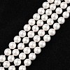 Shell Bead Strands BSHE-R146-6mm-02-1