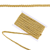 Braided Polyester Lace Ribbons SRIB-DR0001-03A-1