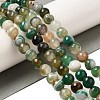 Natural Agate(Dyed & Heated) Beads Strands G-H066-B04-02-1