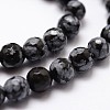 Natural Snowflake Obsidian Beads Strands G-G736-06-4mm-3