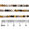 Natural Bumblebee Jasper Beads Strands G-L597-C03-01-4