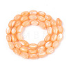 Natural Trochus Shell Beads Strands SHEL-K006-19-01G-2