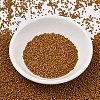 MIYUKI Delica Beads SEED-MY11-DB2286-2