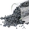 TOHO Round Seed Beads X-SEED-TR15-0612-2