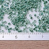 MIYUKI Delica Beads SEED-X0054-DB0060-4