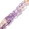 Natural Amethyst & Citrine Beads Strands G-L610-B06-01-1