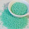 Opaque Colours Glass Seed Beads PW-WG6EF65-17-1