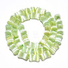 Dyed Natural Selenite Beads Strands G-T138-234E-2