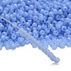 TOHO 6/0 Round Beads X-SEED-TR06-1146-2