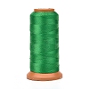 Polyester Threads LS-NWIR-G018-B-19-1