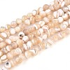 Natural Trochid Shell/Trochus Shell Beads Strands SSHEL-N040-10-1