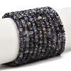 Natural Iolite Beads Strands G-P612-A02-01-2