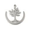 304 Stainless Steel Pendants LS-STAS-V016-21P-1