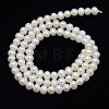 Grade AAA Natural Cultured Freshwater Pearl Beads Strands X-PEAR-L001-F-13-3