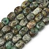Natural African Turquoise(Jasper) Beads Strands G-P623-A04-01-2