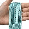 Eco-Friendly Dyed Glass Pearl Round Beads Strands HY-A002-4mm-RB104-6