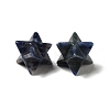 Natural Sodalite Beads G-A206-01B-30-2