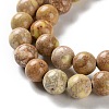 Dyed Natural Regalite/Imperial Jasper/Sea Sediment Jasper Beads Strands G-B124-C01-08-4