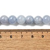 Dyed Natural Malaysia Jade Beads Strands G-G021-02B-22-3