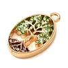 304 Stainless Steel Rhinestone Pendants SA-CBA59D3-04G-01-2