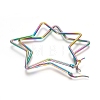 304 Stainless Steel Hoop Earrings STAS-D171-06B-M-2