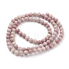 Natural Rhodonite Beads Strands X-G-G099-6mm-33-2