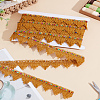 Polyester Braided Lace Ribbon OCOR-LP0002-06-1