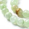 Natural Prehnite Beads Strands G-I261-E03-10mm-3