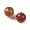 Natural Banded Agate(Dyed & Heated) Sphere Beads GG-D003-A04-03-2