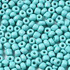 6/0 Glass Seed Beads SEED-S058-A-F437-3