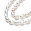 Natural Cultured Freshwater Pearl Beads Strands PEAR-N012-04D-4
