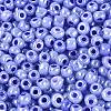 8/0 Glass Seed Beads X1-SEED-A011-3mm-146-3