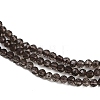 Natural Smoky Quartz Beads Strands G-P553-G05-01-4