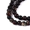 Natural Biotite Beads Strands G-Q616-01A-4