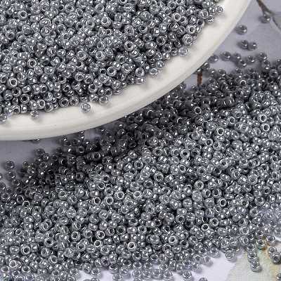 MIYUKI Round Rocailles Beads X-SEED-G009-RR0443-1