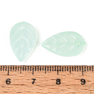 Imitation Jade Acrylic Pendants OACR-T030-27B-1
