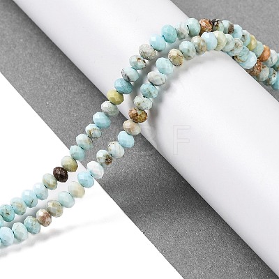 Natural Howlite Beads Strands X-G-H025-03C-09-1