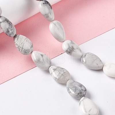 Natural Howlite Beads Strands G-L242-13-1