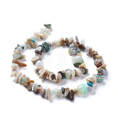 Natural Blue Opal Beads Strands G-L505-27-1