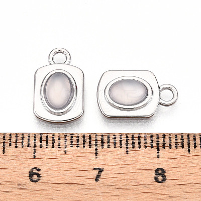 Rectangle Alloy Resin Charms PALLOY-N177-03P-1