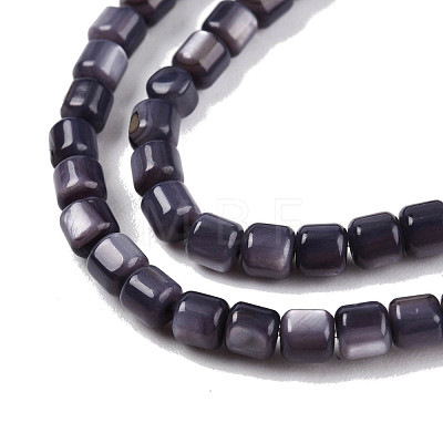 Natural Freshwater Shell Beads Strands SHEL-N003-33-A01-1
