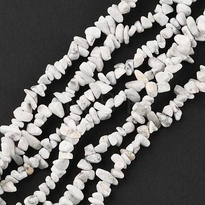 Natural Howlite Beads Strands G-G0003-B17-1