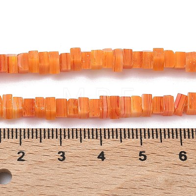 Handmade Lampwork Beads Strands LAMP-Q037-02A-10-1