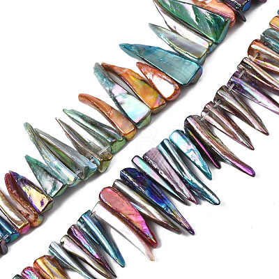 Electroplated Natural Freshwater Shell Beads SHEL-N026-197A-1