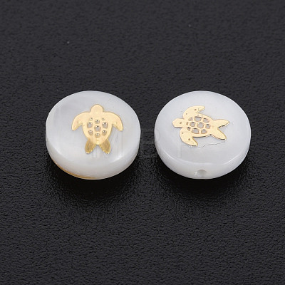 Natural Freshwater Shell Beads SHEL-S278-061-1